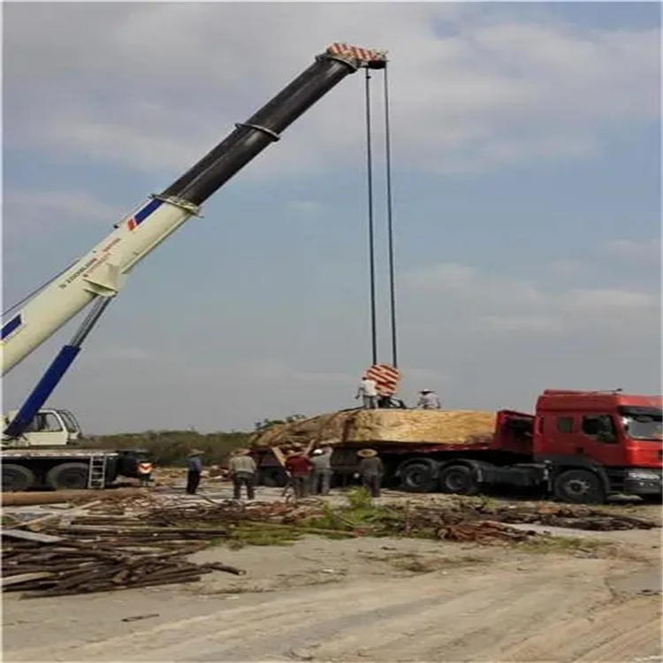 大城重型设备吊装